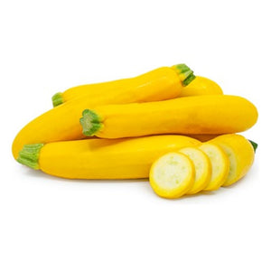 Zucchini Seeds F-1 Hybrid Yellow Beauty
