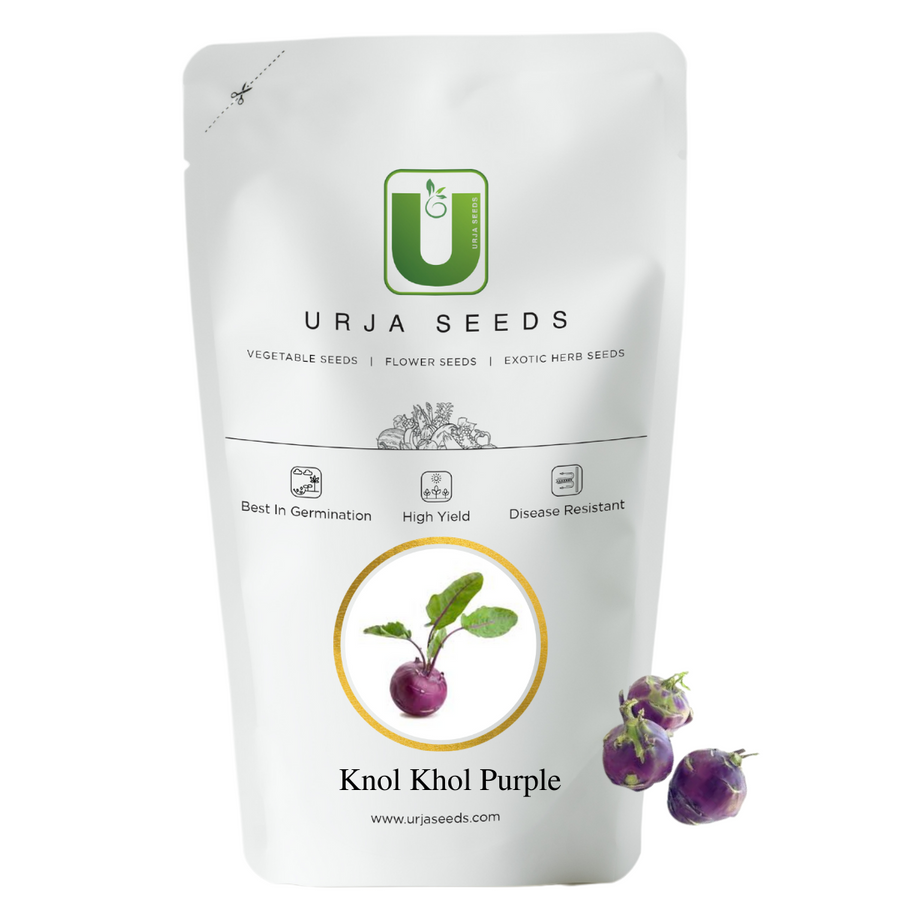 Knol Khol Purple Seeds (Kohlrabi)