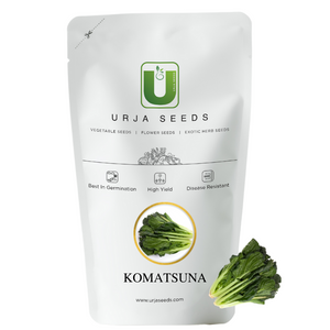 Komatsuna Micro green Seeds