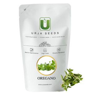 Oregano Seeds Kitchen Garden Packaging