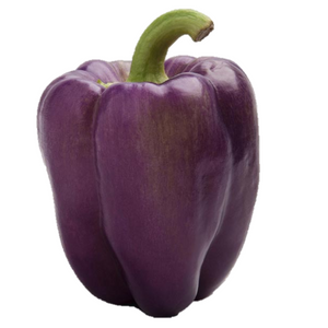 Capsicum Seeds F1 Hybrid Purple (Imp)