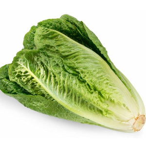 Lettuce Seeds Romaine