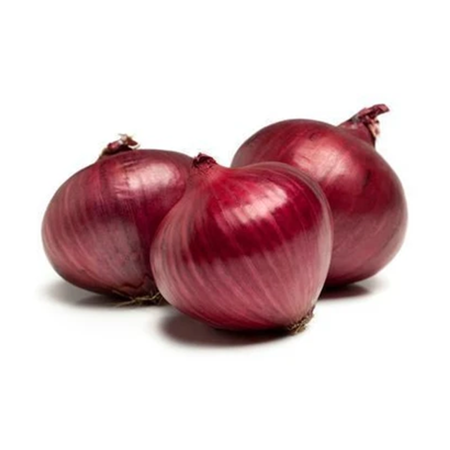 Onion Seeds Dark Red