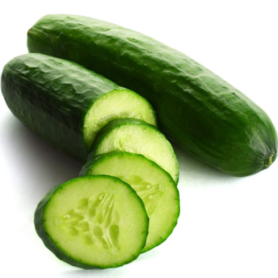 Cucumber Seeds- Poinsette