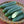 Load image into Gallery viewer, Cucumber Seeds- Poinsette
