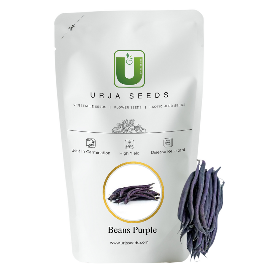 Beans Purple Seeds Kitchen Garden Packaging