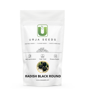 Radish Seeds Black Round-Kitchen Garden Packing
