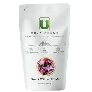 Sweet William F2 Mix-Flower Seeds