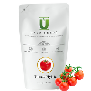 Tomato Seeds F-1 Hybrid US-99 (Indeterminate)