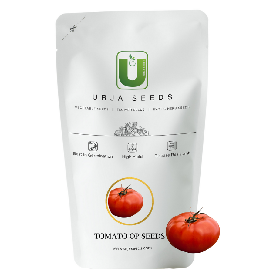 Tomato Seeds Tanushri