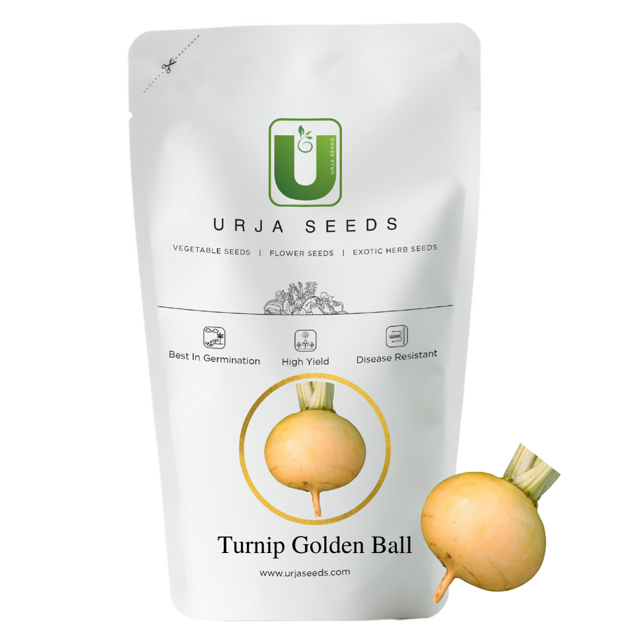 Turnip Seeds Golden Ball