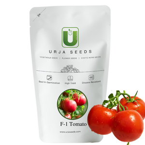 Tomato Seeds F-1 Hybrid US-999 (Determinate)