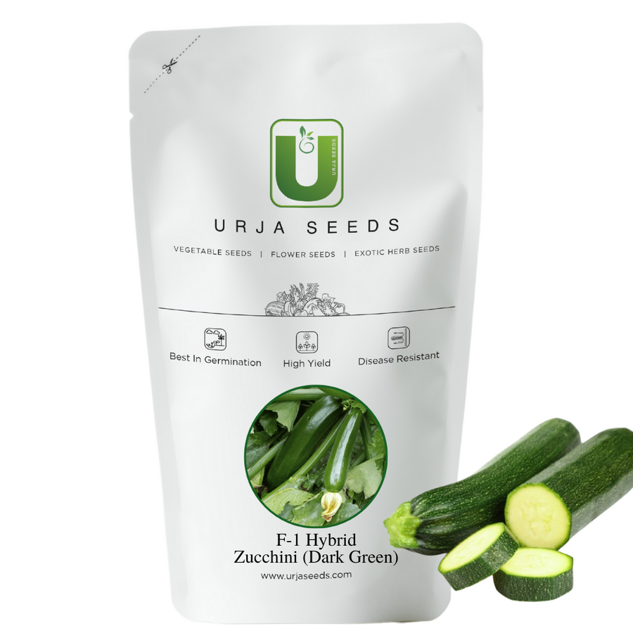 Zucchini Seeds F-1 Hybrid - Green