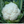 Load image into Gallery viewer, Cauliflower Seeds Amex
