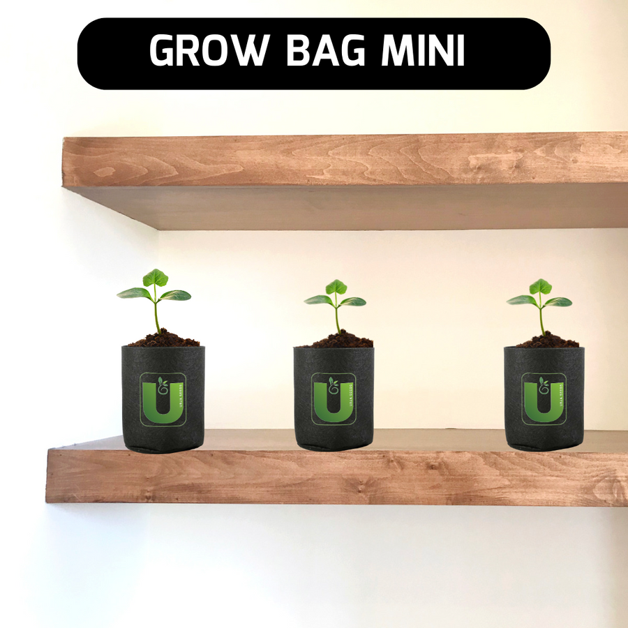 Grow Bag Mini - (4"X4")