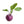 Load image into Gallery viewer, Knol Khol Purple Seeds (Kohlrabi)
