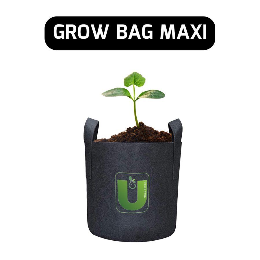 Grow Bag Maxi-(8"X 6")
