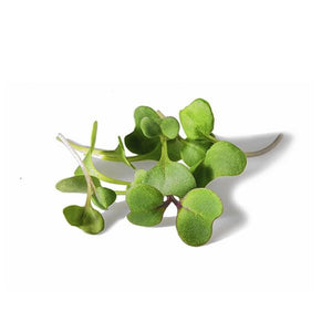 Broccoli -Micro Green Seeds