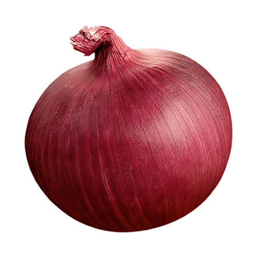 Onion Seeds F-1 Hybrid Red Cosmo