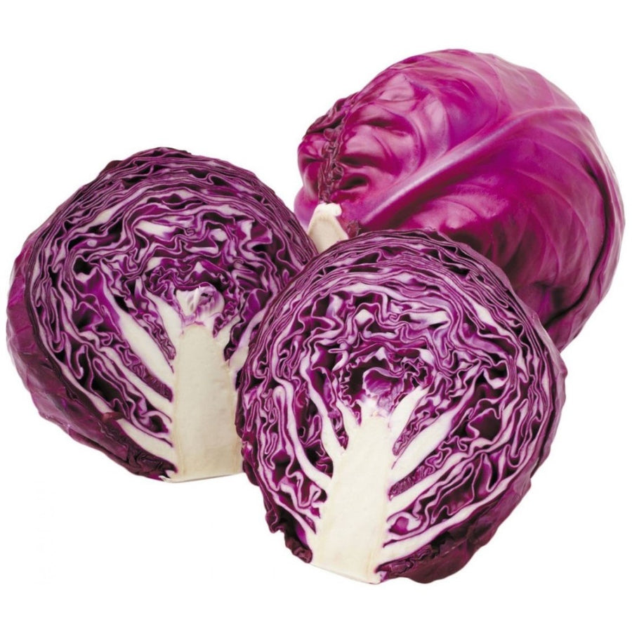 Red Cabbage Seeds  F-1 Hybrid Red Ball