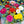 Load image into Gallery viewer, Zinnia Lilliput Mix -Flower Seeds
