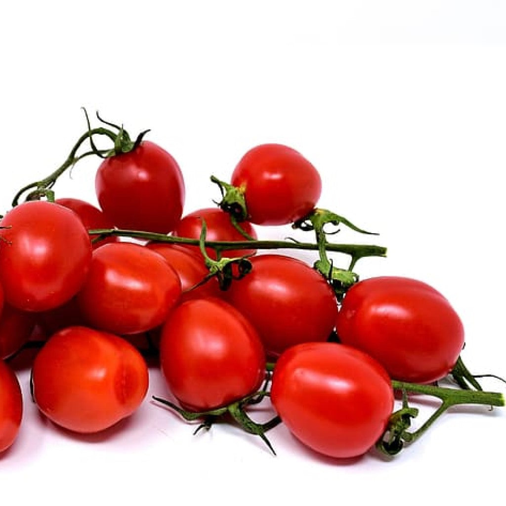 Order Tomato F-1 Hybrid US 99 Seeds Online @Best Price