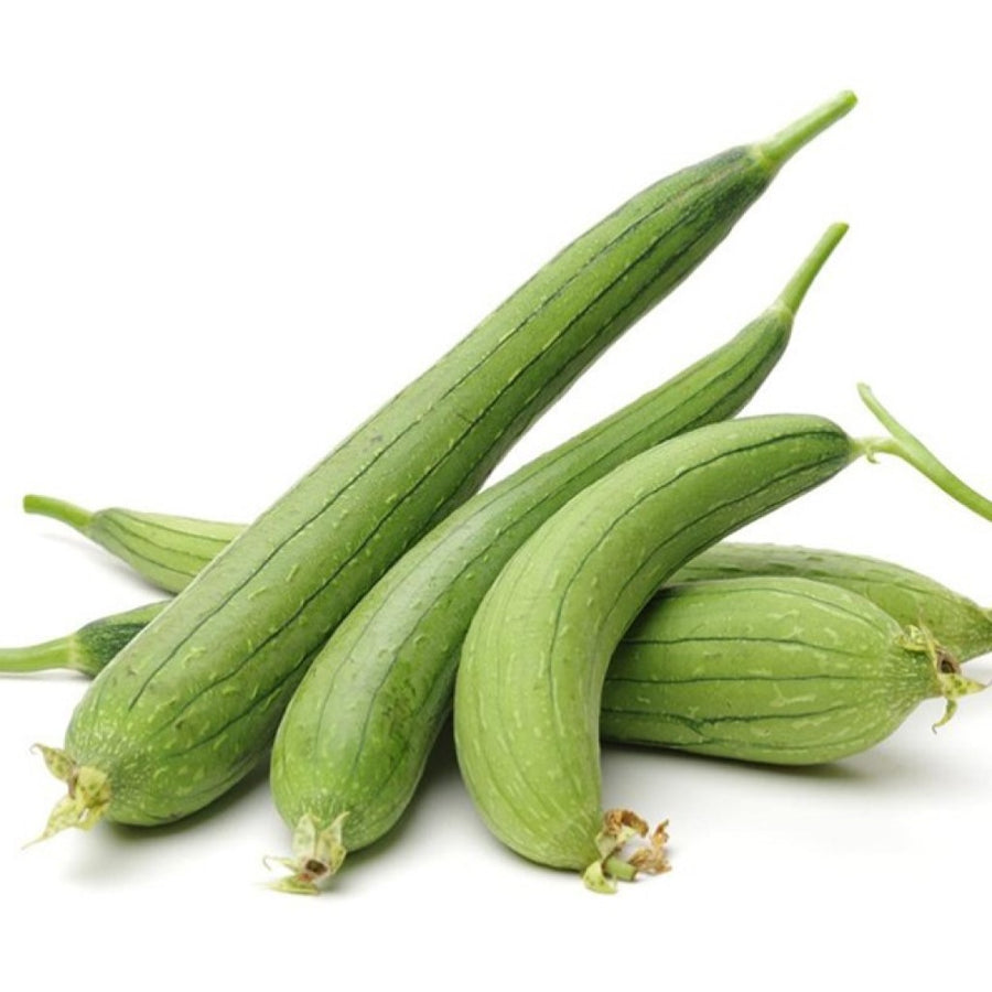 Sponge Gourd Seeds F-1 Hybrid US-301 (Light Green)