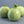 Load image into Gallery viewer, Summer Squash Seeds (Chappan Kaddu) F-1 Hybrid US-211 (Light Green)
