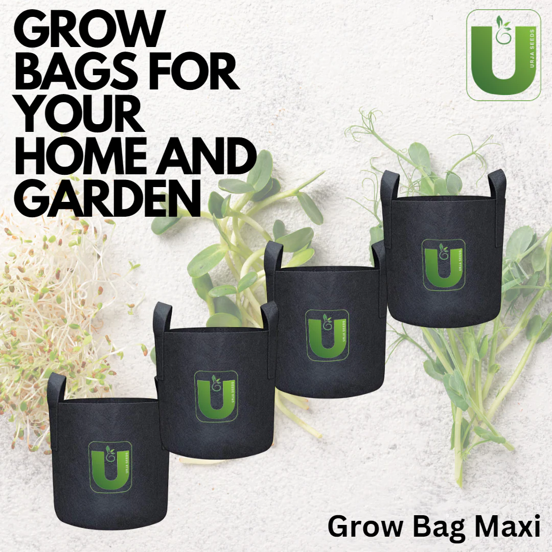 Grow Bag Maxi-(8"X6") Set of 4 - Image 4