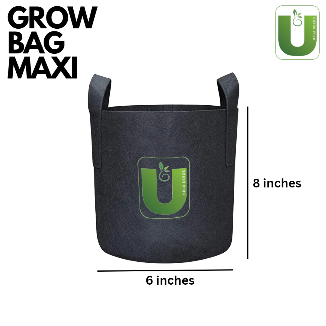 Grow Bag Maxi-(8"X6") Set of 2 - Image 3