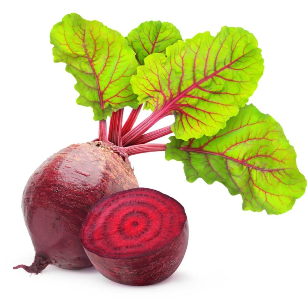 Beetroot Seeds- Detroit Dark Red (DDR)