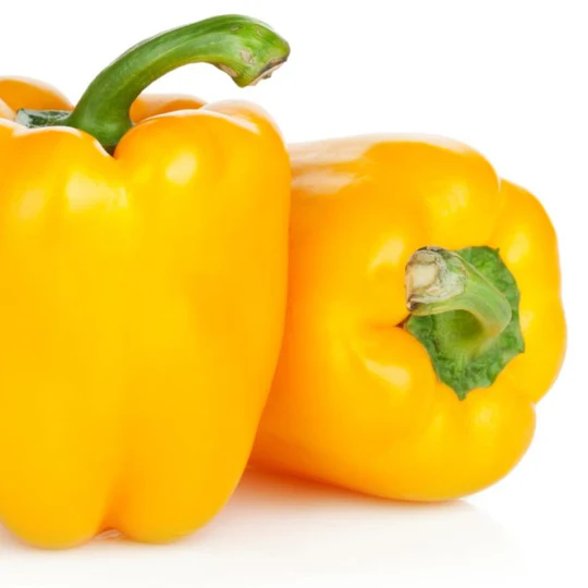Capsicum Seeds F-1 Hybrid Yellow - Image 3