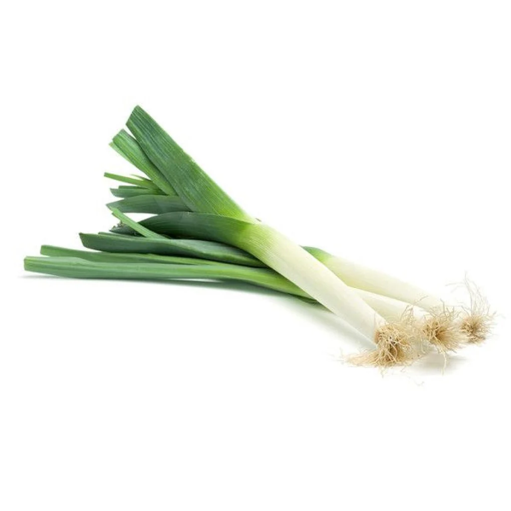 Leek Seeds American Flag
