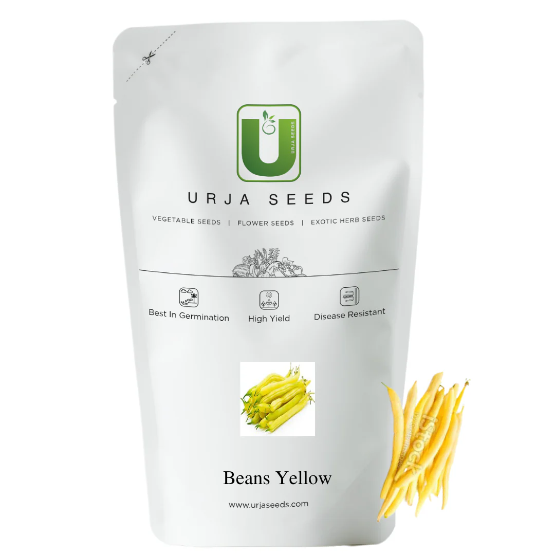 Beans Yellow Kitchen Garden Packaging - Image 2