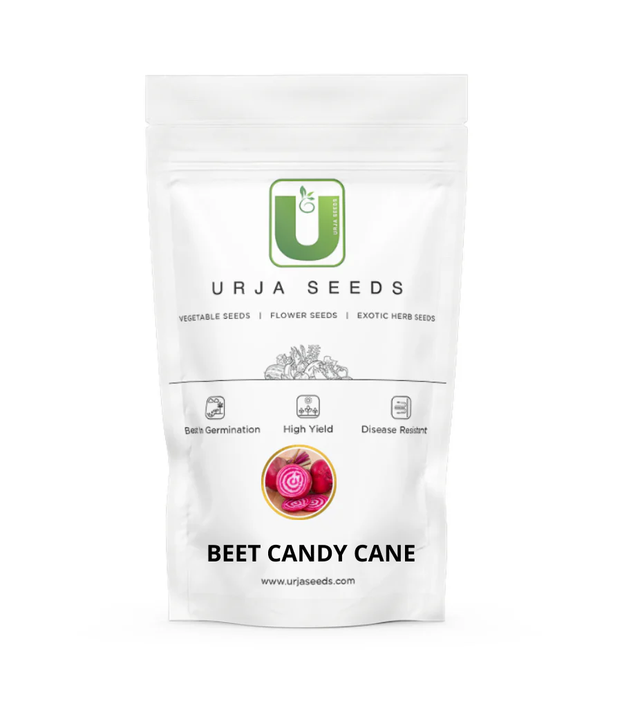 Beet Candy Cane-Kitchen Garden Packing - Image 3