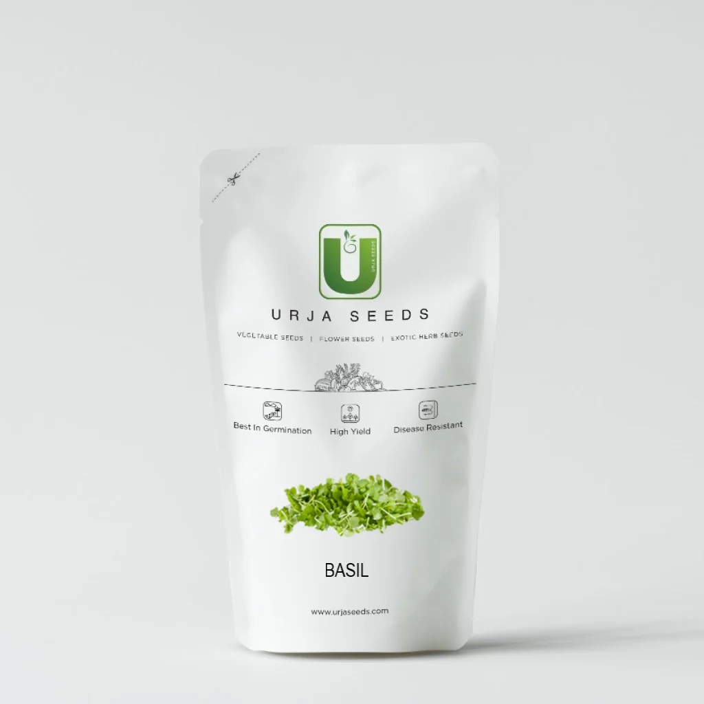 Basil (Green) Kitchen Garden Seeds - Image 2