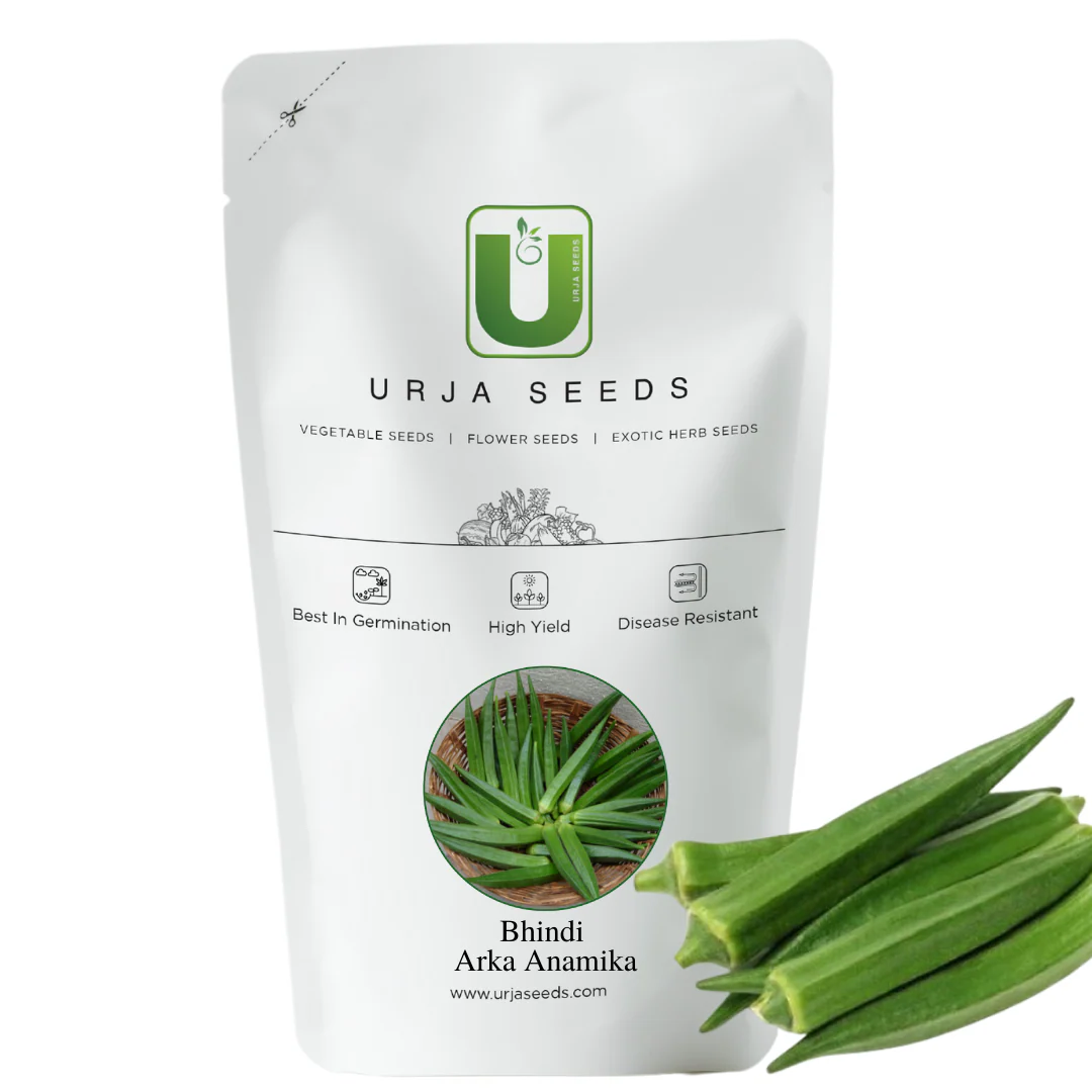 Bhindi Seeds -Arka Anamika - Image 2