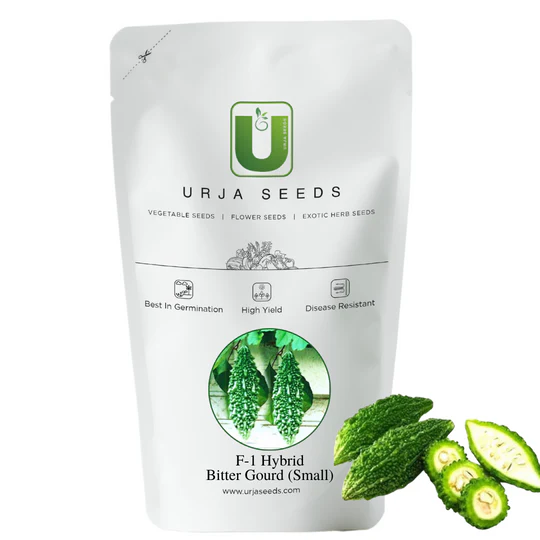 Bitter Gourd Seeds F-1 Hybrid Pure Green - Image 3