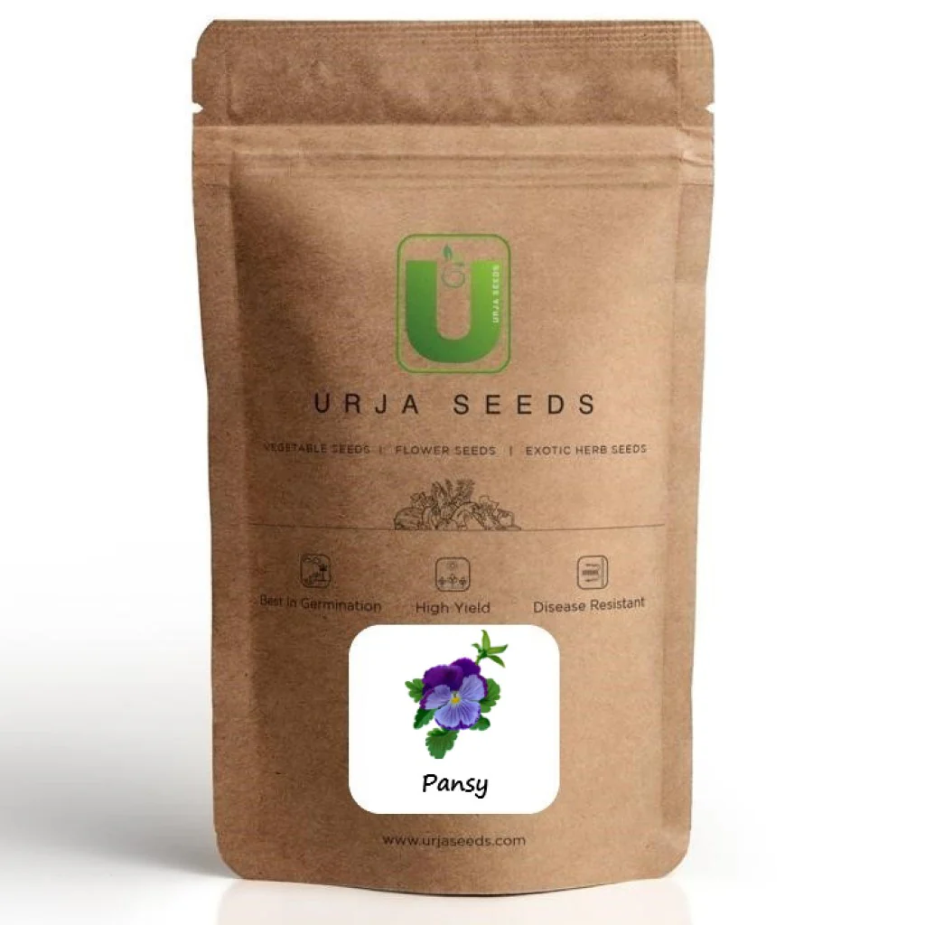 Pansy Cello Mixture (Hybrid) - Flower Seeds - Image 2