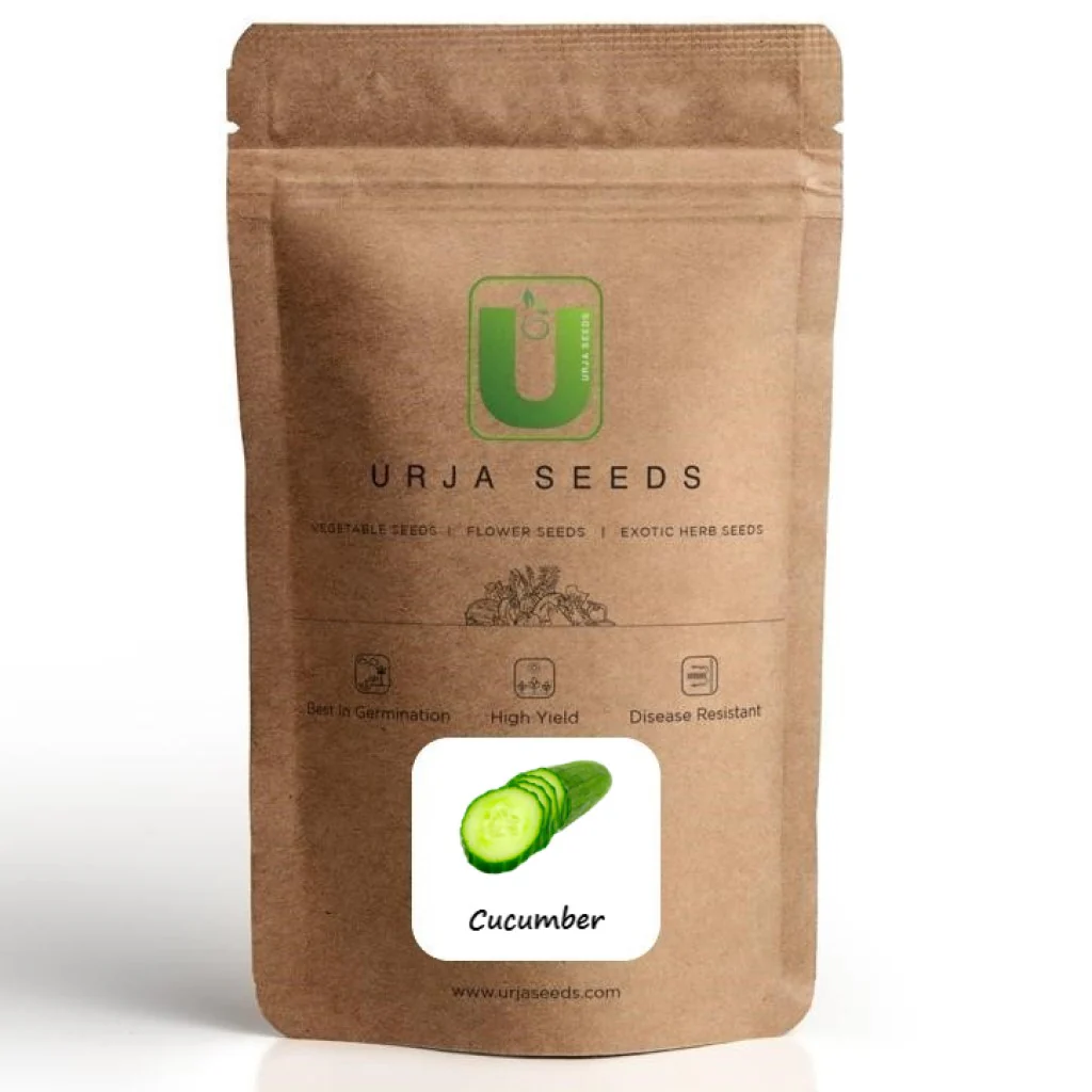 Cucumber Seeds F-1 Hybrid US-7070 - Image 2