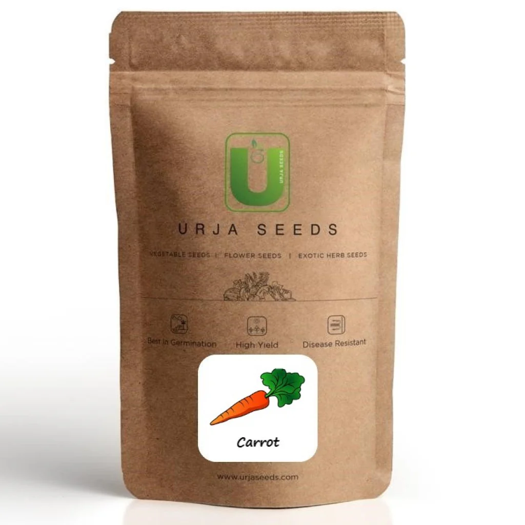Carrot Seeds F-1 Hybrid Nintendo - Image 3