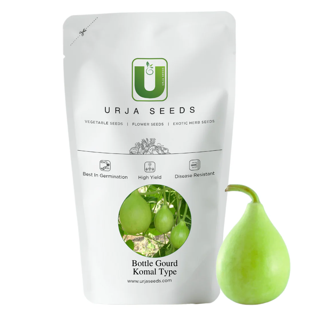 Bottle Gourd Seeds - Punjab Komal - Image 2