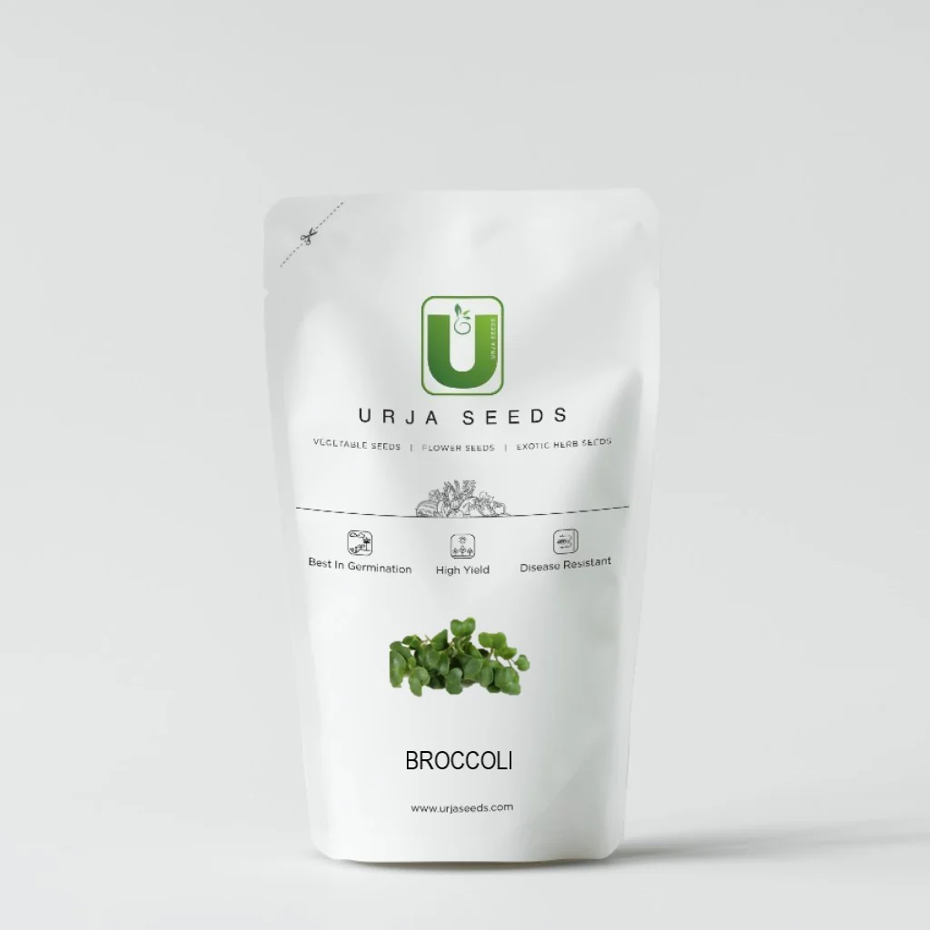 Broccoli -Micro Green Seeds - Image 2