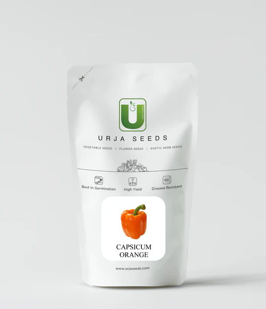 Capsicum Seeds F1 Hybrid Orange (Imp) - Image 2