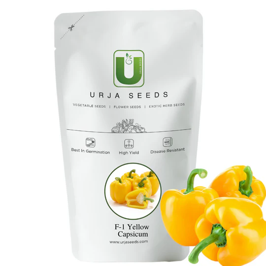 Capsicum Seeds F-1 Hybrid Yellow - Image 2