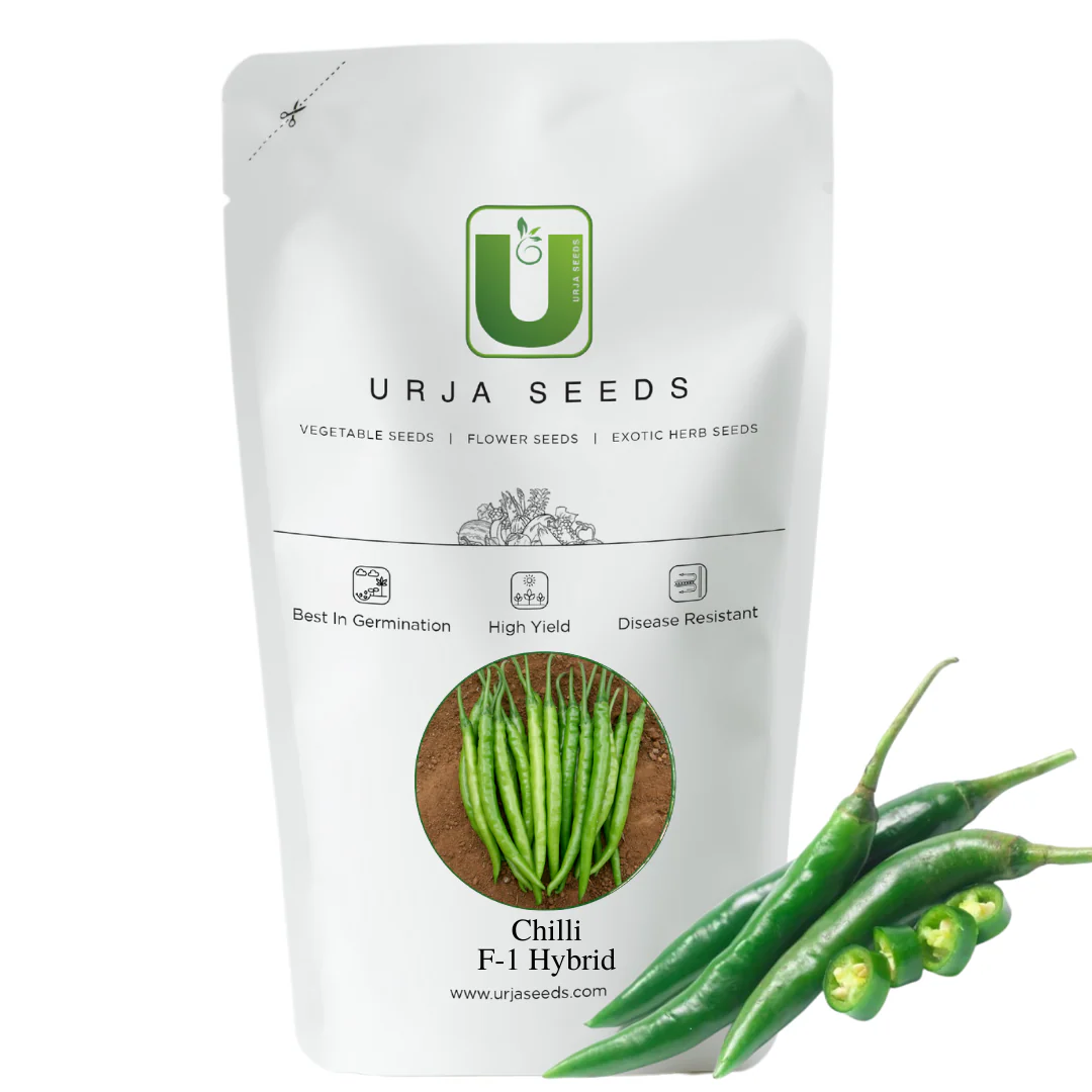 Chilli Seeds F-1 Hybrid US-327 - Image 2