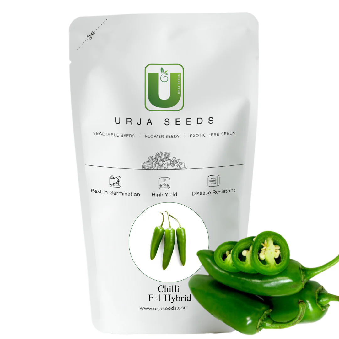 Chilli Seeds F-1 Hybrid US-8283 (Achari) - Image 2