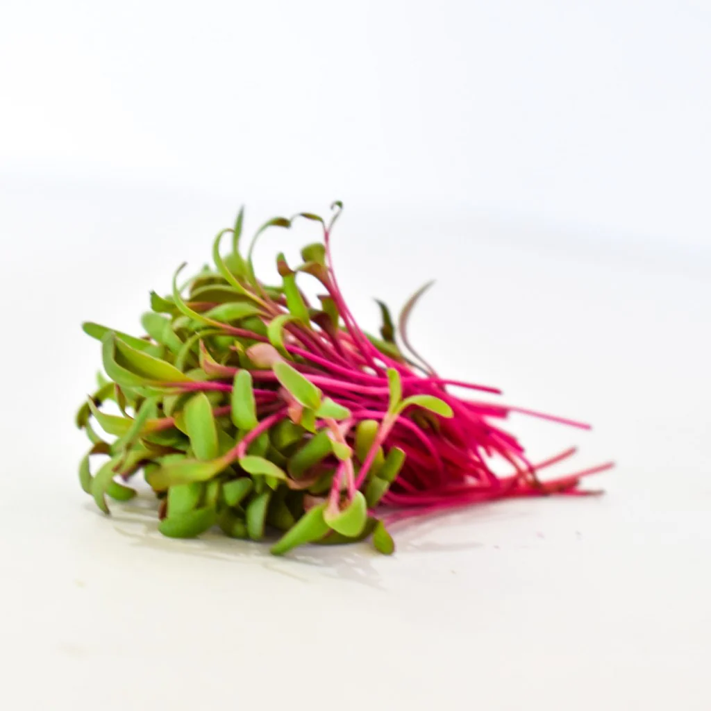 Beetroot - Micro Green Seeds