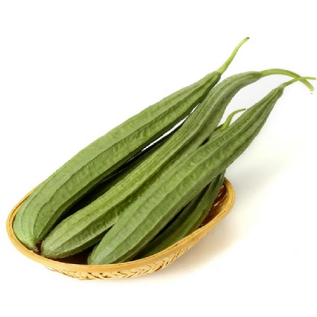 Ridge Gourd Seeds F-1 Hybrid US-472 (Light Green)