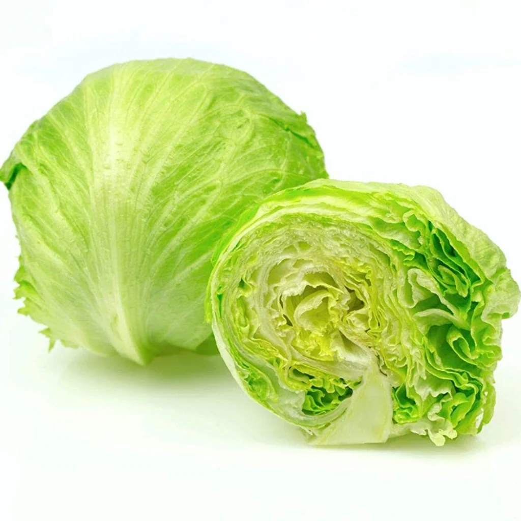 Lettuce Great Lakes - Vegetable Seeds